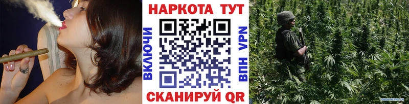 Бошки Шишки Михайловск