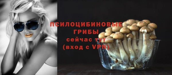 ГАЛЛЮЦИНОГЕННЫЕ ГРИБЫ Аркадак