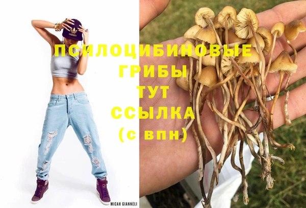 марки nbome Алексин