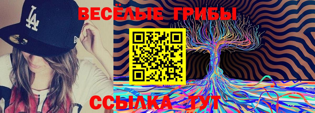 Галлюциногенные грибы GOLDEN TEACHER Михайловск