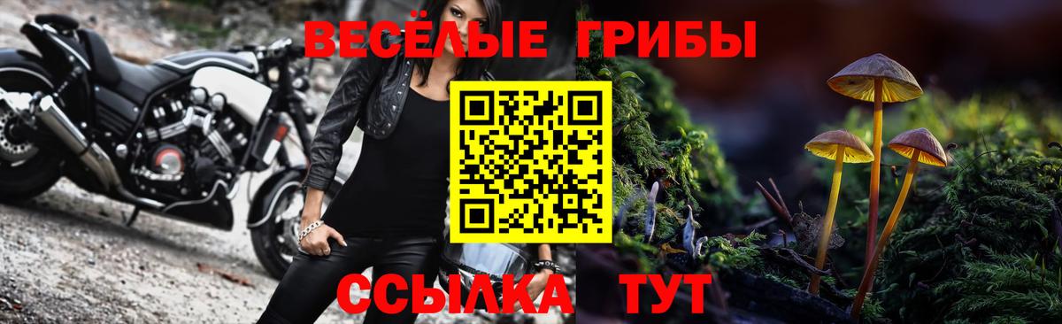 наркотики  Галлюциногенные грибы Psilocybine cubensis  Вход с VPN  Михайловск 