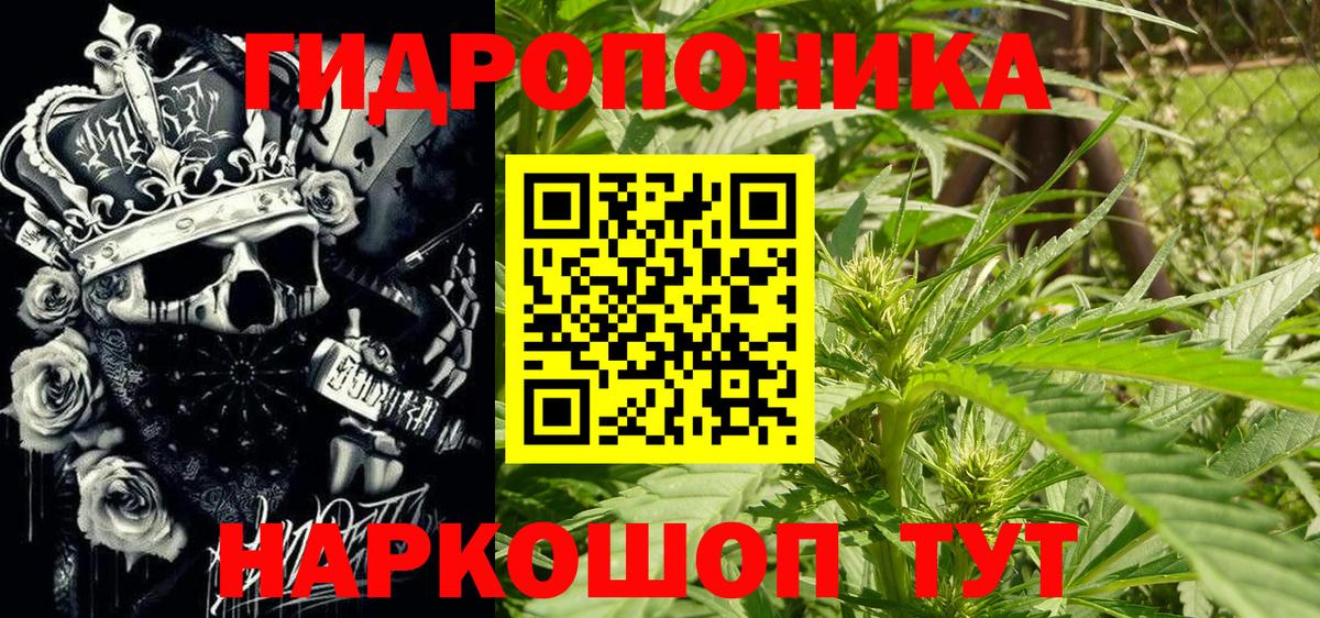 Шишки марихуана семена Михайловск
